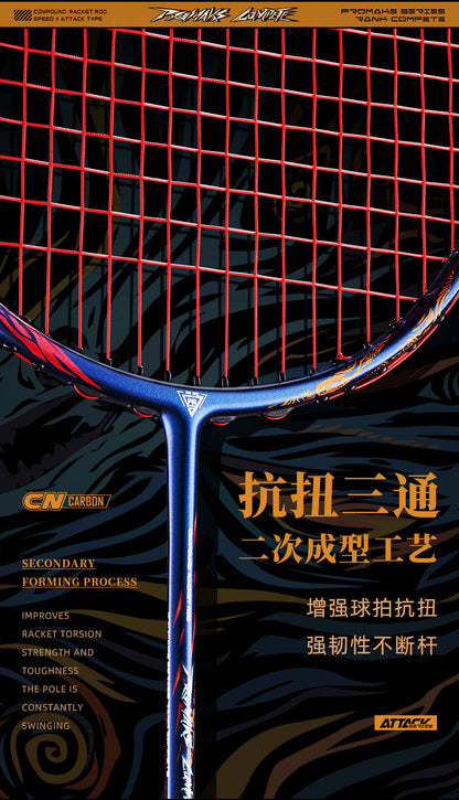 GXS P.R.IND  PRIND C badminton racket